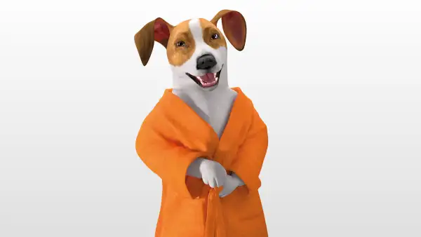 Case study: SDI Corporate Website